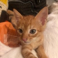 Owen RB (@owenrbee) 's Twitter Profile