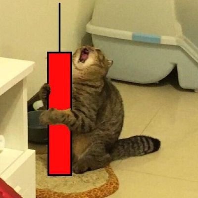 PrintAlan1's profile picture. I like risk reward,

Mexican Trader and economist