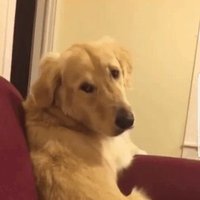 Evergreen (@evergreen9603) 's Twitter Profile Photo