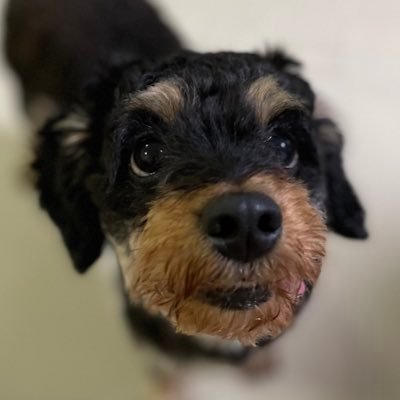 evemaiyoo's profile picture. it's not easy to be me.