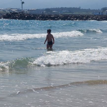 novoarosa's profile picture. 