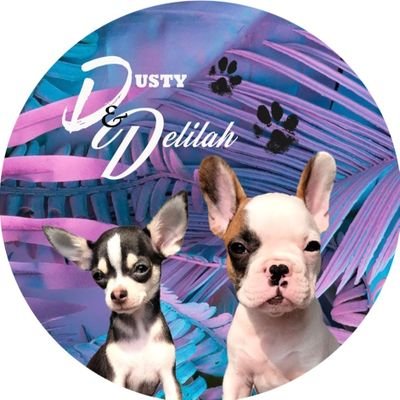 DustyandDelilah Profile Picture