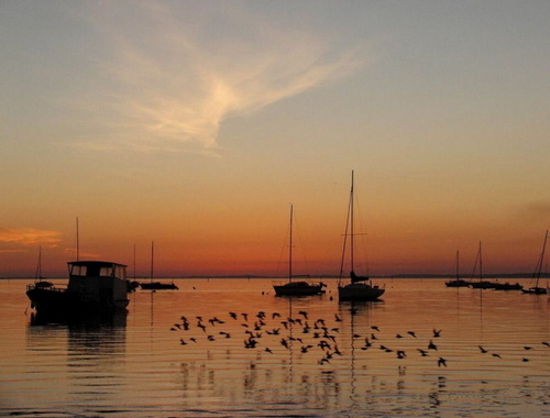 Retrouvez nous autour du Bassin d'Arcachon et partagez vos émotions sur le Bassin !