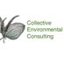 Collective Environmental (@cenvironmental1) Twitter profile photo Collective Environmental (@cenvironmental1) Twitter profile photo