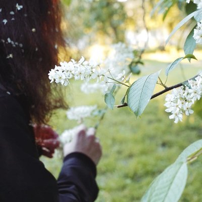 voleemor's profile picture. dev | visual journalist | IG/TG/VK/FB/TT: @voleemor