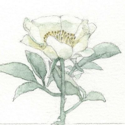 生活の中で少しでも心穏やかになれるように想いながら作品をつくります。植物、季節などのモチーフが多いです。ご依頼はDMかメールにてご相談ください。