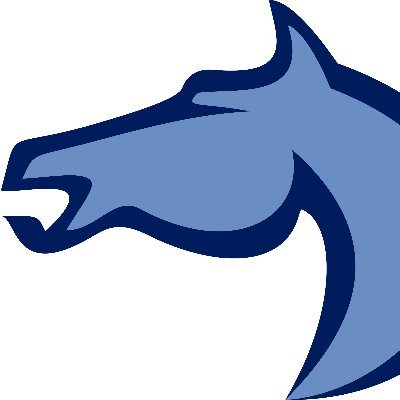 NorikerPower's profile picture. The future of flexible generation