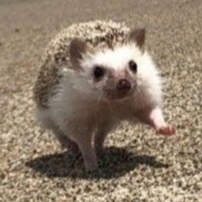 yyw29's profile picture. no investment is forever