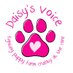 Daisy's Voice (@daisys_voice) Twitter profile photo Daisy's Voice (@daisys_voice) Twitter profile photo