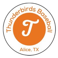 TBirds Baseball Club (@tbirdsbbstx) 's Twitter Profile