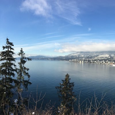 lyyuppp's profile picture. 