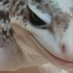 èæâç±³åŠïŒã仲éå°çšïŒ (@familykome8) Twitter profile photo èæâç±³åŠïŒã仲éå°çšïŒ (@familykome8) Twitter profile photo