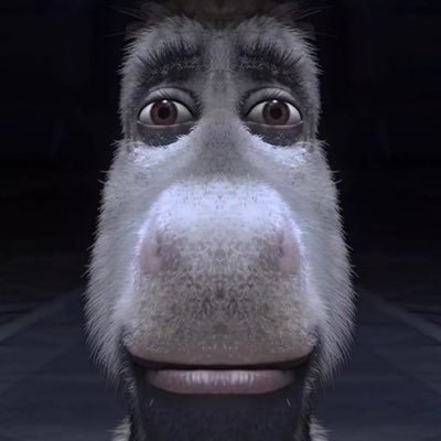 RZ98295's profile picture. 