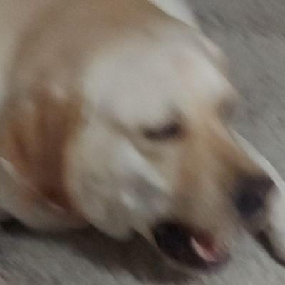 jc55124's profile picture. 21