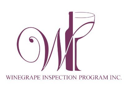 WinegrapeInc's profile picture. 