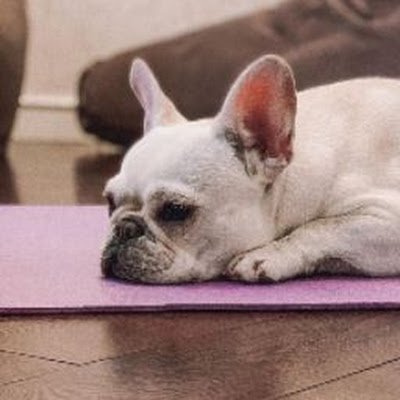 guanwei_lee's profile picture. 