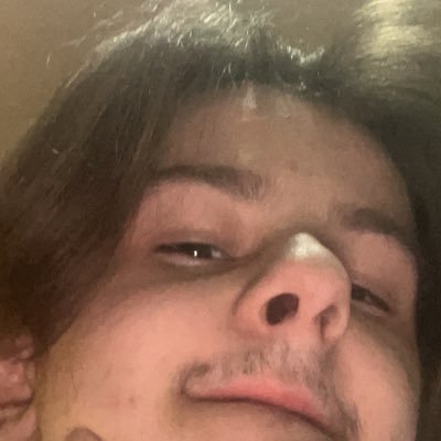 zeuphis's profile picture. ǫᴜᴏ ɴᴏɴ ᴀsᴄᴇɴᴅᴀᴍ 21yrs