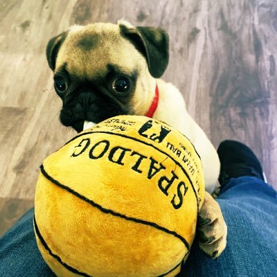 God1st- Proud Mom to two ballers, Jett and Jaisie. Basketball Addict. X- Basketball College Player and record holder. Sports Photographer/ Animal lover.