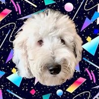 What About Bunny (@whataboutbunny) 's Twitter Profile