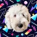 What About Bunny (@whataboutbunny) Twitter profile photo What About Bunny (@whataboutbunny) Twitter profile photo