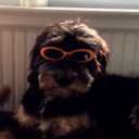 Evan Hull - @evannhull - Twitter