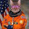 ghostofmatias2's profile picture. Bitcoin.
Viva Cristo Rey 👑
Roman Catholic ✝️🇻🇦