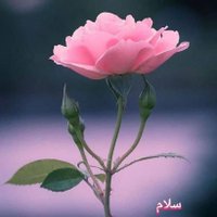 hesam behbodi (@behbodihsam) 's Twitter Profile