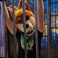 Taiky Murr🇳🇱 (@taiky_ad) 's Twitter Profile