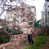 Şahini Hovagi 1 (@sahan_akcan_) 's Twitter Profile