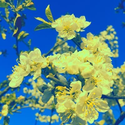 Lächle und die Welt verändert sich🌞😷🇺🇦🇮🇱
Sagen, was man denkt, ist manchmal die größte Torheit und manchmal - die größte Kunst .(M.v.E.-E.)