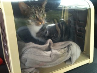 smarmy79's profile picture. 