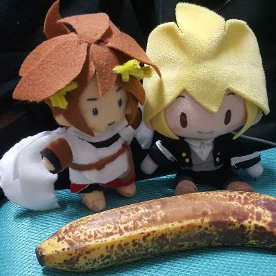 ぬいさんのプロフィール画像