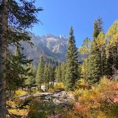 sedoutloud's profile picture. Idaho native, born and bred | LDS and feminist. It is possible—Ask me how |Conservative too. | Lover of books, NASCAR and Football fan | I'm like an onion.