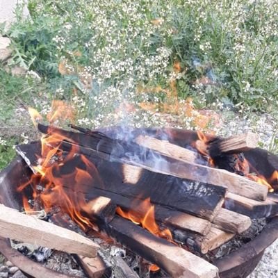 Alaa20249004's profile picture. 