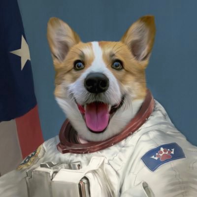 CalidaGao's profile picture. 