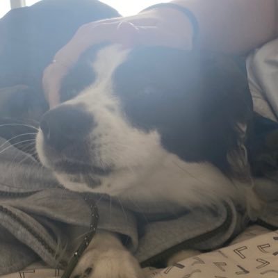 V_Fonteque's profile picture. Snow on my feet, rain on my head