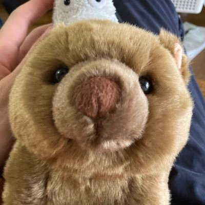 doraさんのプロフィール画像
