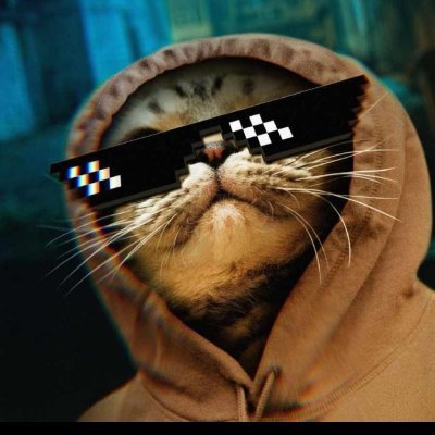 Cariwodo1's profile picture.