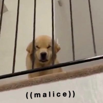 WinstonDFpogdog's profile picture. AaaAAAAAA They/He