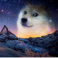 kevkevin (@kevkevpal) 's Twitter Profile Photo