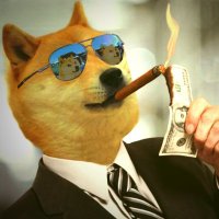Ɖogecoinhunter (@dogecoinhunter) Twitter profile photo