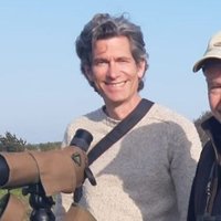 Dave Alcock (@davealcock12) 's Twitter Profile