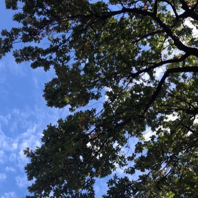 aMAgicBoy20's profile picture. 