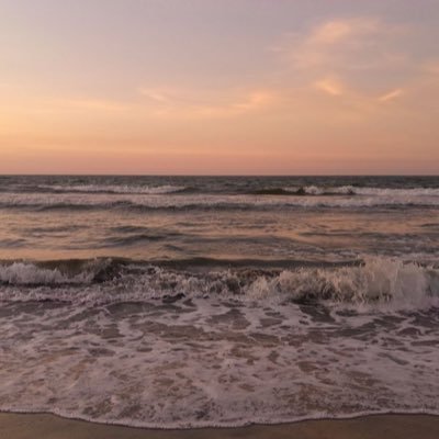 an__nour's profile picture. 