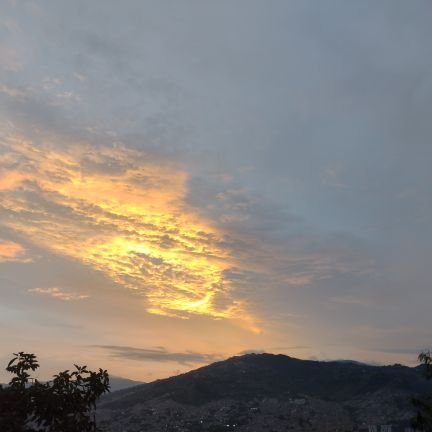 NelsonA69091201's profile picture. Politica