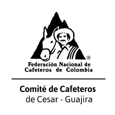 CesarComite Profile Picture