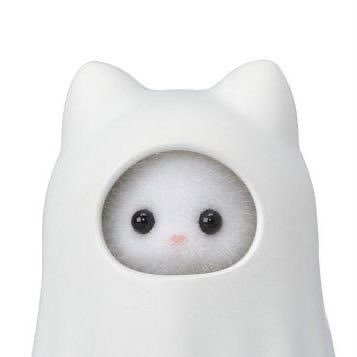 bzaezaed's profile picture. tv로 보면 많이 작나요?