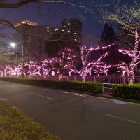 らいと (@3qemw) 's Twitter Profile