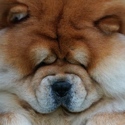 IBriltex's profile picture. meeting new people
