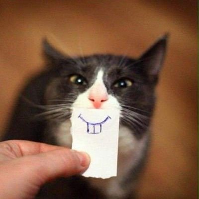 StanleyZhu19's profile picture. Lazy Cat